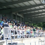 The stands